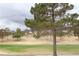 Serene golf course view showcasing green lawns, mature trees, and neighboring homes under a cloudy sky at 2013 Capestone St, Las Vegas, NV 89134