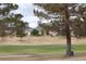 Picturesque view of lush golf course, trees, and mountains, creating a tranquil residential backdrop at 2013 Capestone St, Las Vegas, NV 89134