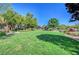 Expansive green space with well-maintained lawn, mature trees, and lush landscaping in a residential community at 2425 Amatrice St, Henderson, NV 89044