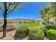 Well maintained community green featuring a grassy lawn, mature trees and landscaping and views of the surrounding mountains at 2425 Amatrice St, Henderson, NV 89044