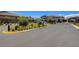 Gated community entrance featuring well-manicured landscaping and secure access for residents at 2425 Amatrice St, Henderson, NV 89044