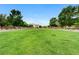 Expansive green community lawn offering ample space for recreation, bordered by trees and walking paths at 4078 Blue Manor Ln, North Las Vegas, NV 89032