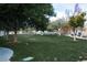 Well-maintained community park with lush green grass and mature trees, offering a serene outdoor space at 9148 Alluring Ave, Las Vegas, NV 89149