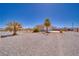 Desert home front exterior, featuring a spacious pebble yard, charming desert landscaping and mature palm trees at 961 Laguna St, Pahrump, NV 89048