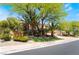 Charming home featuring mature trees, desert landscaping, and a well-manicured lawn at 11237 Campsie Fells Ct, Las Vegas, NV 89141