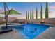 Backyard pool with spa, rock waterfall, and privacy landscaping for a serene outdoor space at 12219 Crystal Shore Ave, Las Vegas, NV 89138