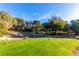 Lush green golf course tee box surrounded by mature trees and desert landscaping at 19 Rue Grimaldi Way, Henderson, NV 89011