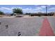 Spacious backyard with gravel, brick path and green trees at 2650 Sagebrush Ave, Pahrump, NV 89048