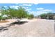 Expansive yard featuring drought tolerant landscaping with mature trees, providing shade and privacy at 2650 Sagebrush Ave, Pahrump, NV 89048