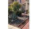 Attractive front yard landscaping featuring rock features, trees, and well-maintained shrubbery at 6030 Halehaven Dr, Las Vegas, NV 89110