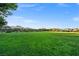 Large open green space perfect for picnics, sports, and enjoying the great outdoors at 724 Step Beach St, Las Vegas, NV 89138