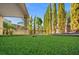 Backyard putting green surrounded by lush landscaping with putting green at 724 Step Beach St, Las Vegas, NV 89138