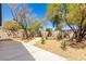 Well-maintained backyard featuring concrete walkway, mature trees, and desert landscaping at 10482 Clarion River Dr, Las Vegas, NV 89135
