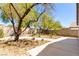 Spacious backyard with desert landscaping, trees, and a concrete patio, perfect for outdoor living at 10482 Clarion River Dr, Las Vegas, NV 89135