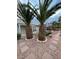 Picturesque backyard with palm trees, putting green, walkway, and well-manicured gravel at 3562 Driving Range St, Las Vegas, NV 89122
