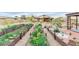 Well-maintained garden featuring raised beds and lush vegetation adds natural beauty and charm at 5741 N Park St, Las Vegas, NV 89149