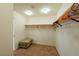 Spacious walk-in closet with carpeted floors and built-in shelving for optimal organization at 6442 Kobe Knoll Ct, Las Vegas, NV 89141