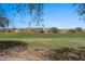 Backyard view of the golf course and surrounding desert landscape with blue skies overhead at 653 Paloma Cir, Mesquite, NV 89027