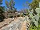 Stone walkway through backyard landscaping with cactus at 8777 Beckett Ridge Ave, Las Vegas, NV 89149