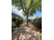 Private backyard featuring mature trees and stone ground cover, offering a serene outdoor space at 1785 Puerto Way, Henderson, NV 89012