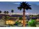 Beautiful street with well-kept homes, manicured lawns, and Las Vegas Strip views, all enhanced by mature palm trees at 2388 Kenneth Ave, Henderson, NV 89052