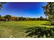 Expansive community park featuring lush green grass and mature trees, perfect for outdoor activities at 3240 Avernus Ave, Henderson, NV 89044
