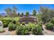 Entrance sign to Capriola Park, showcasing landscaping and community park at 3240 Avernus Ave, Henderson, NV 89044