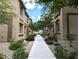 Sidewalk view of desert landscaped homes with neutral colored stucco exteriors at 6168 Scarlet Leaf St, Las Vegas, NV 89148