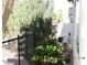 Landscaped backyard with fencing and greenery, creating a private and serene outdoor setting at 7840 Millhopper Ave, Las Vegas, NV 89128