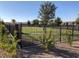 This dog park provides a secure play area surrounded by greenery and fencing at 790 Sunny Sagebrush St, Henderson, NV 89011