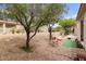 Expansive backyard featuring desert landscaping, mature trees, and a cozy seating area at 7934 Kiskadee St, North Las Vegas, NV 89084