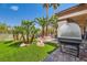 Picturesque backyard featuring a well-manicured lawn, mature palm trees, and outdoor living spaces at 10408 Mezzanino Ct, Las Vegas, NV 89135