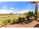 Expansive view of the golf course from the backyard with mature foliage at 1223 Golf Club Dr, Laughlin, NV 89029