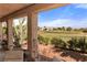 Backyard with golf course view, featuring desert landscaping, cacti, and blooming rose bushes at 1223 Golf Club Dr, Laughlin, NV 89029