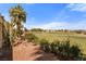 Landscaped backyard offers a gorgeous golf course view at 1223 Golf Club Dr, Laughlin, NV 89029