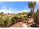 Lush backyard with golf course view, featuring blooming rose bushes, and desert landscaping at 1223 Golf Club Dr, Laughlin, NV 89029