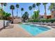 Relaxing community pool surrounded by lush greenery and palm trees at 220 Mission Newport Ln # 201, Las Vegas, NV 89107