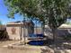 Backyard with a trampoline and shed under a large tree, offering a fun and shaded play area at 400 National St, Henderson, NV 89015