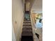 Carpeted staircase leading to the upper level of the home at 4662 Kelly Barry Way, Las Vegas, NV 89121