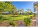 Beautiful backyard featuring a large grassy area, mature trees, and garden beds at 5701 Mary Lou St, Pahrump, NV 89061