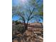 Landscaped backyard featuring a mature shade tree, low stone wall and desert landscaping at 6529 Bradford Ln, Las Vegas, NV 89108