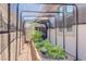 Outdoor garden area with framed netting and a brick-lined planter at 709 Corelli Cove St, Henderson, NV 89011
