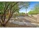 Backyard space landscaped with desert foliage and trees, plus stepping stone path at 2309 Tedesca Dr, Henderson, NV 89052