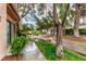 Scenic backyard view with lush landscaping, mature trees, and a pond at 3246 Brookfield Dr, Las Vegas, NV 89120
