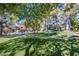 Expansive green space with mature trees, community pool and walking paths at 3249 Dayflower St # C, Las Vegas, NV 89121
