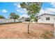 View of the house's backyard with a small tree, fence and covered patio at 40 Laswell St, Henderson, NV 89015