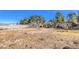Backyard with large trees, weeds, and metal barrels at 5715 Gilbert Ln, Las Vegas, NV 89130