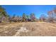 Backyard with large trees, weeds, and metal barrels at 5715 Gilbert Ln, Las Vegas, NV 89130