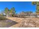Backyard with large trees, grass, and weeds at 5715 Gilbert Ln, Las Vegas, NV 89130