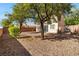Landscaped backyard with trees, desert stones, and privacy fence at 2333 Silver Crew Pass, Henderson, NV 89052